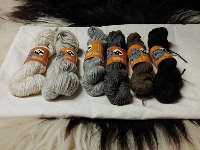 20210304_132920.jpg