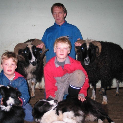 siggi-skar-aborg.jpg