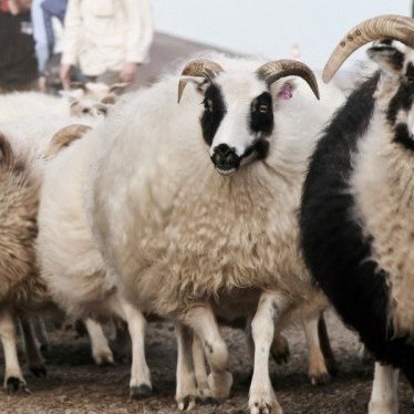 asta_spitali-20-of-40