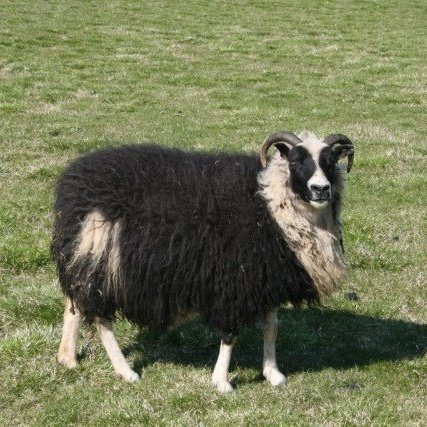 asta_spitali-39-of-40