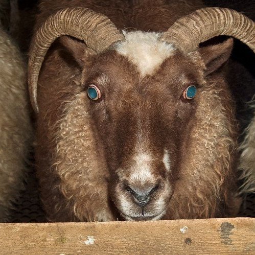 asta_spitali-6-of-40