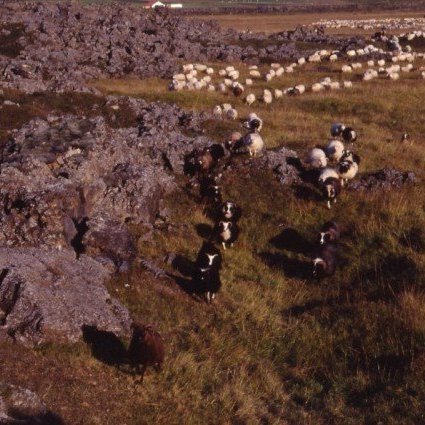 m-ra-fr-h-lmava-i-fer-fyrir-f-fr-eystareikjum-lj-smynd-indri-i-j-nsson-ytra-fjalli