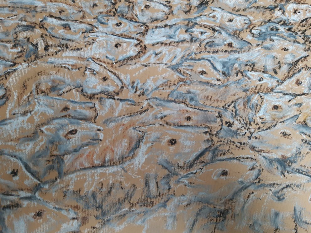 Listsýning í Fræðasetri um forystufé