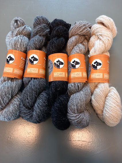 Forystuþræðir spunnir í Gilhaga