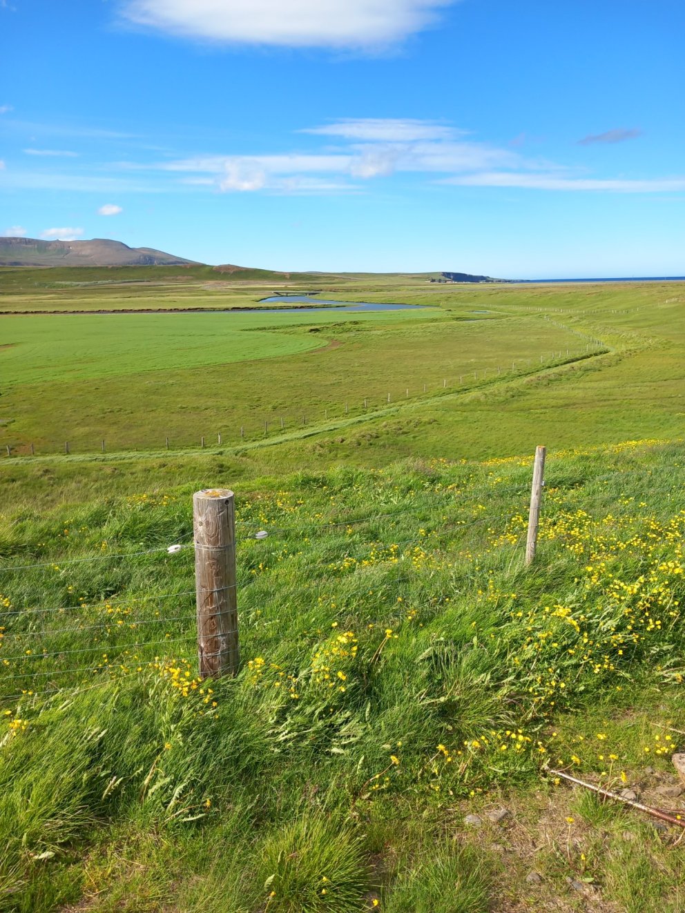 Sumarblíða í Þistilfirði.