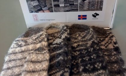 Forystuvettlingar  - Gloves